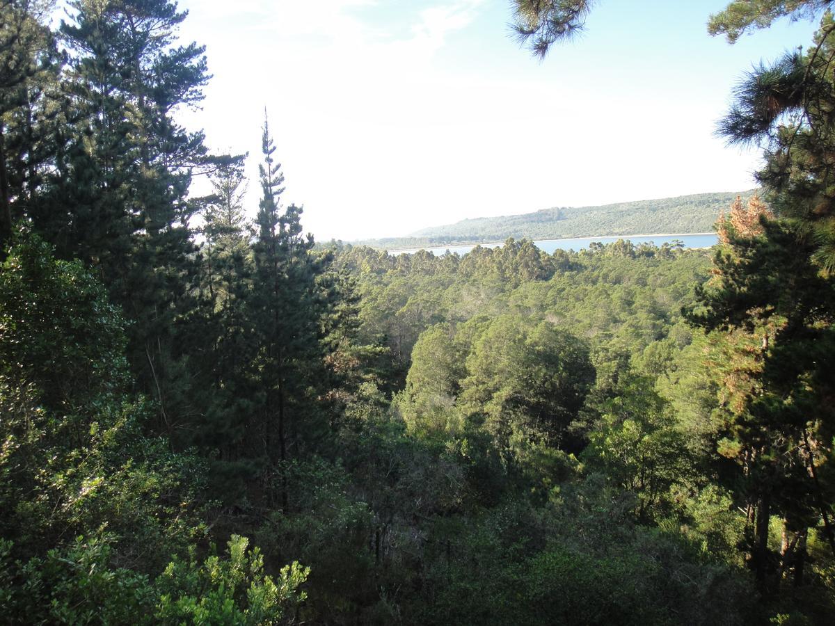 Eagles' Call Cottages And Tent Wildernis Exterior foto